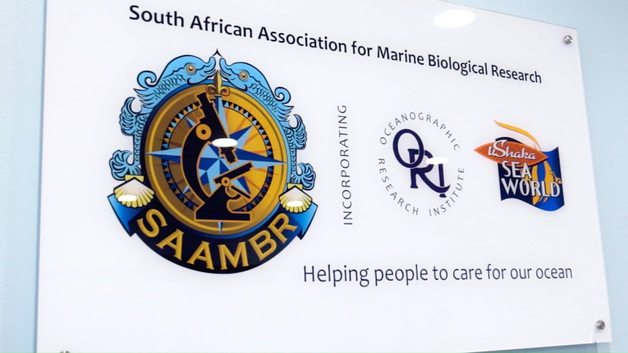 uShaka-Schools-SAAMBR.mp4