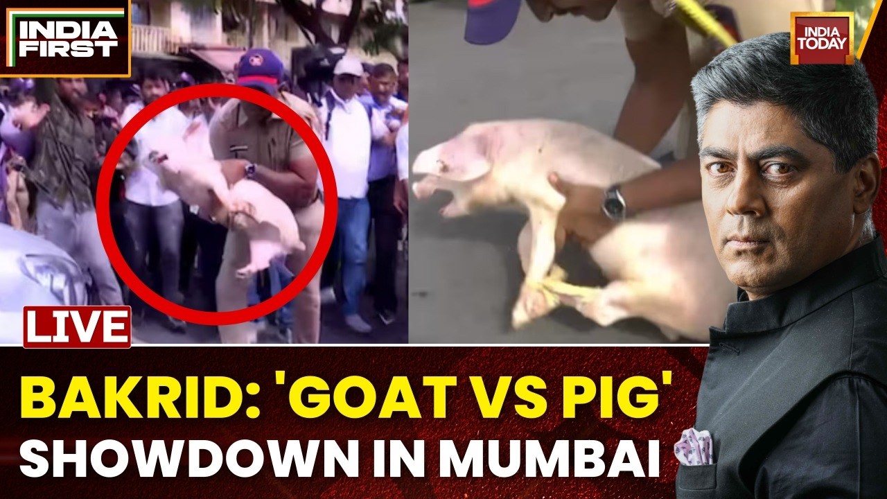 LIVE: Thane 'Pig vs Goat' Showdown | 'Bawaal' Over Bakrid | Who Is Provoking In Name Of Religion?