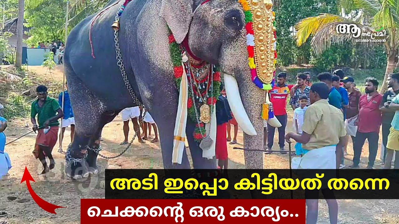 രാമനോടുള്ള ഭക്തി ചെക്കൻ കാണിച്ചു..👌| Thechikkottukavu Ramachandran