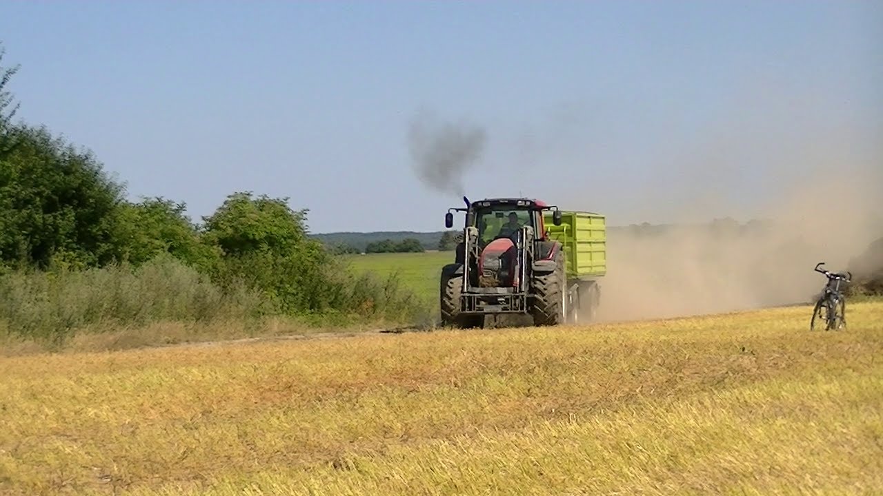 WIOSNA W POLU & ZWIASTUN ŻNIW:)