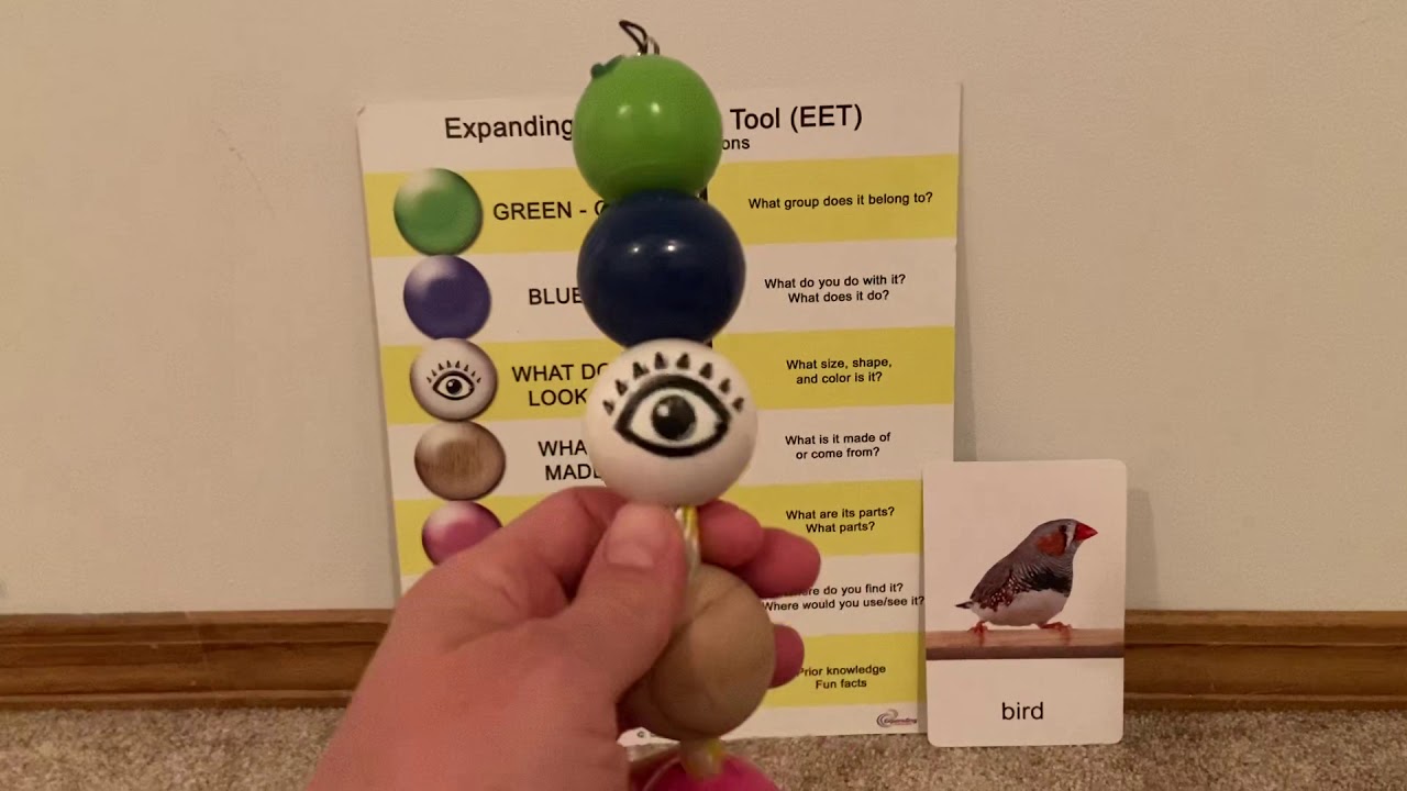 Basics of Using the Expanding Expression Tool