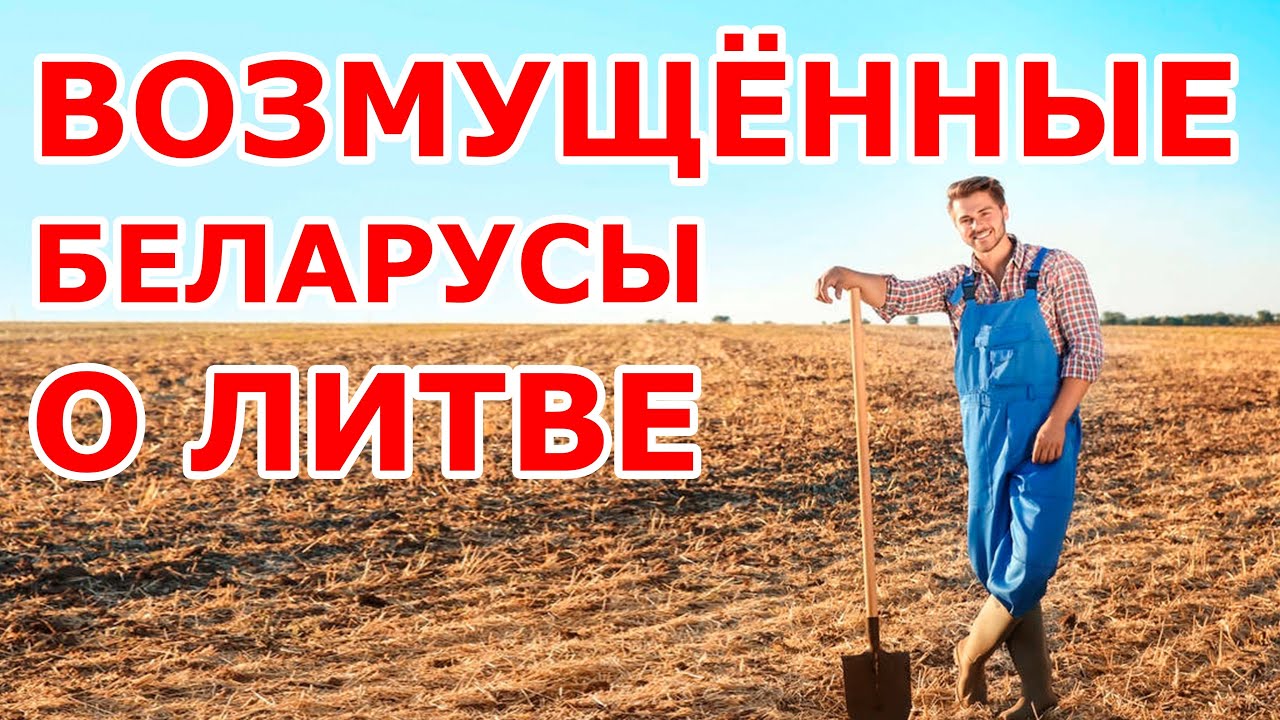 Возмущённые беларусы о Литве 😨
