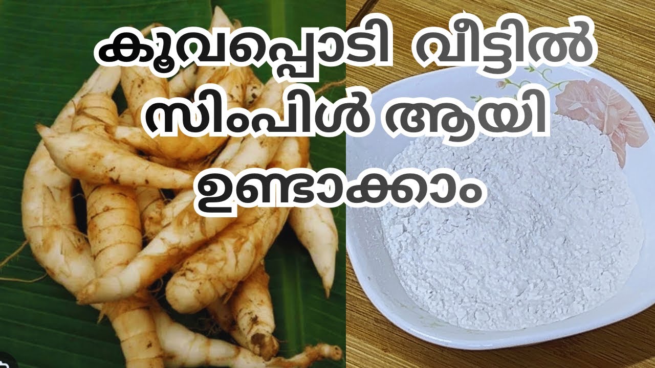 Arrowroot powder making | How to make arrowroot powder | Simple method