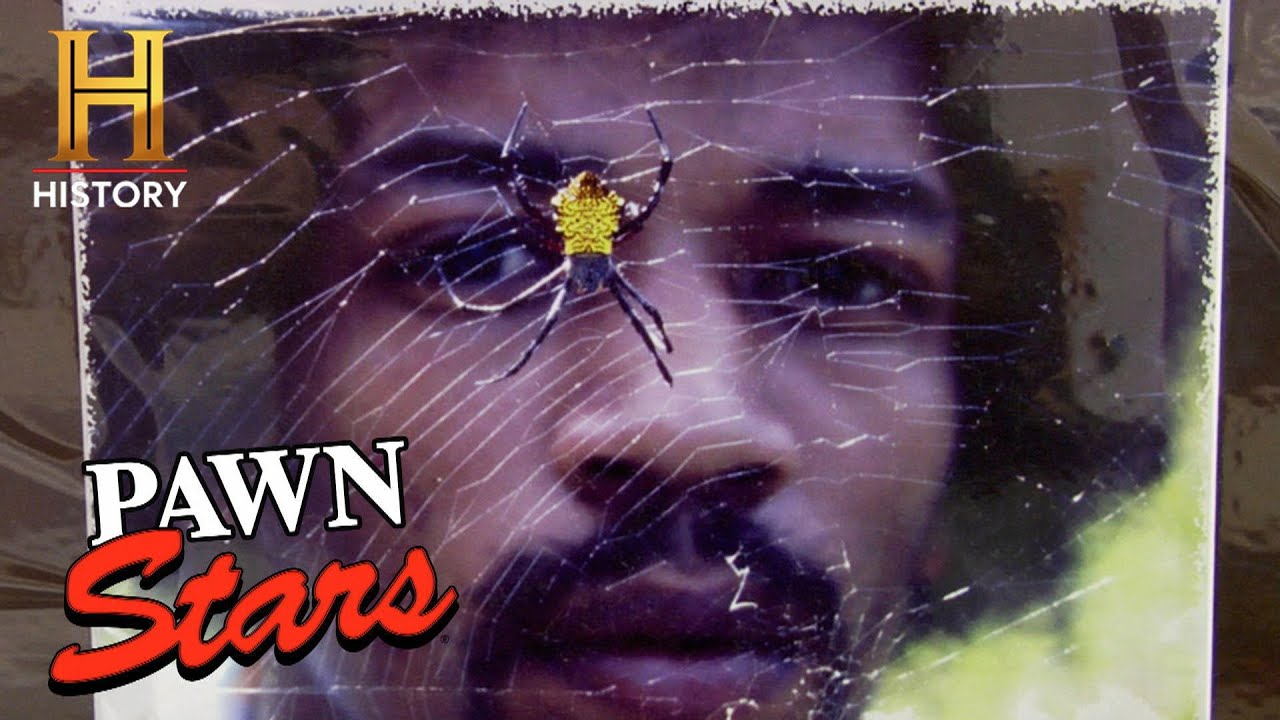NEVER BEFORE SEEN Jimi Hendrix Photos Are Rock 'n' Roll Gold! (Season 5) | Pawn Stars