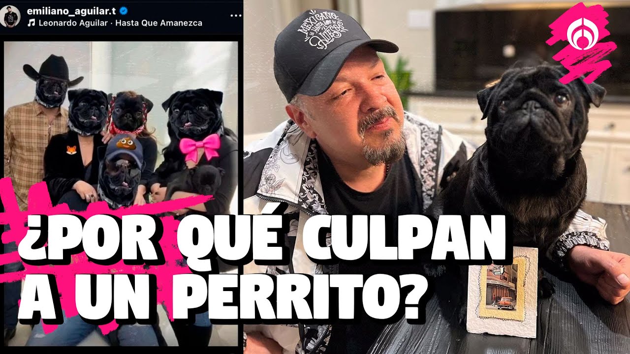 ¡Qué perro! Mascota de Pepe Aguilar 