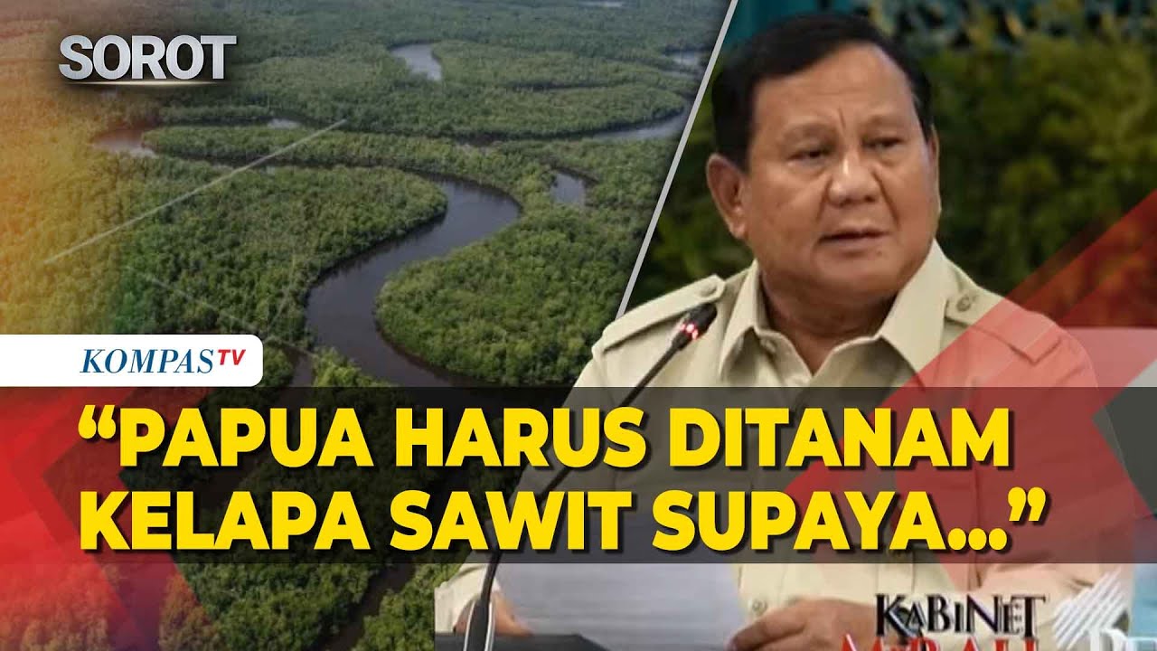 Prabowo Bicara Swasembada Energi: Papua Harus Ditanam Kelapa Sawit