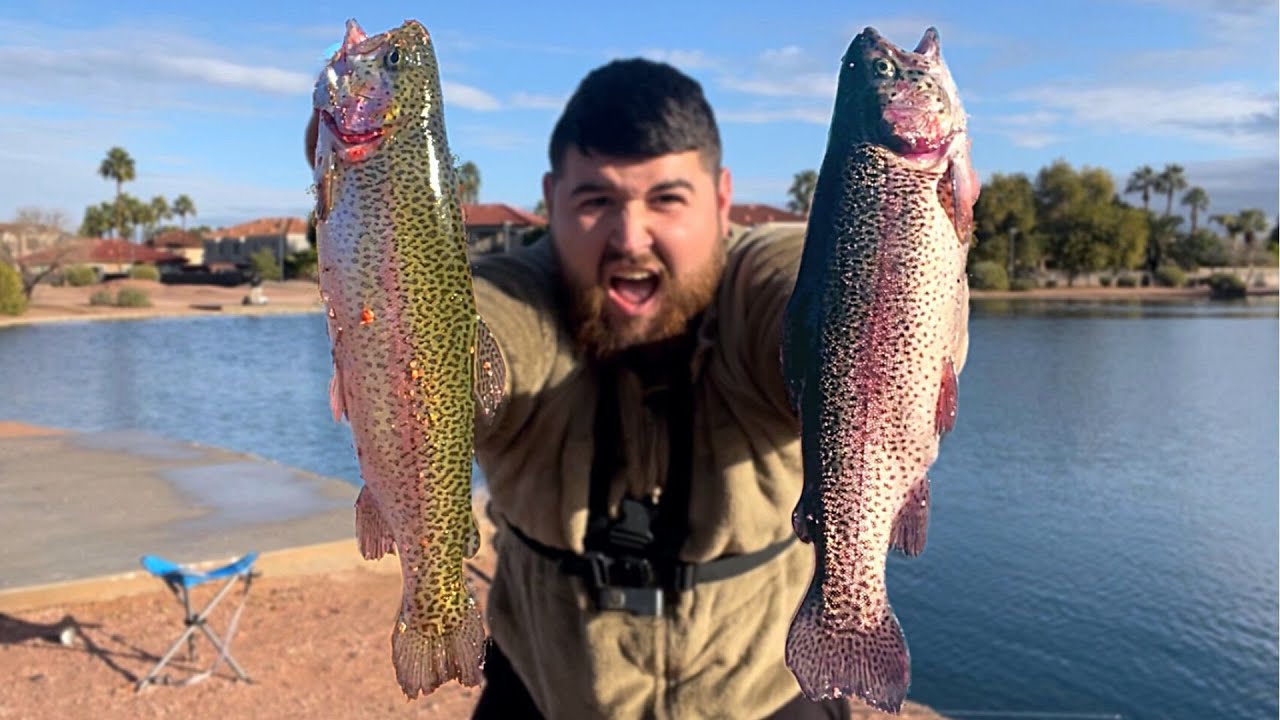 Desert Trout Fishing an Urban Arizona Pond! (Trout Limits)