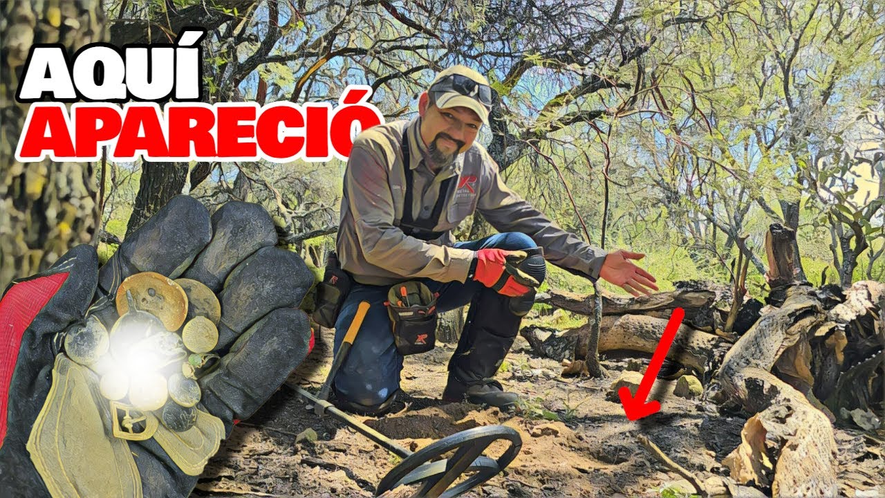 Los Mezquites Guardaban un Secreto! Revelaron su Tesoro Después de Siglos!