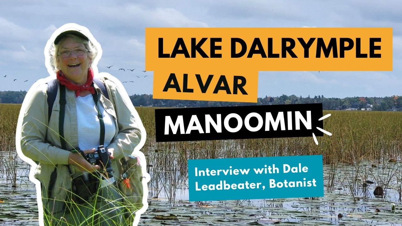 Lake Dalrymple Alvar video | Manoomin / Wild River