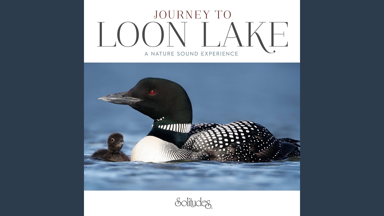 Listen to the Loons