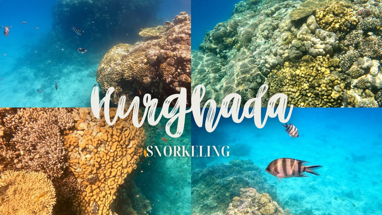 HURGHADA SNORKELING 4K | Orange Bay & Hotel Premier le Reve