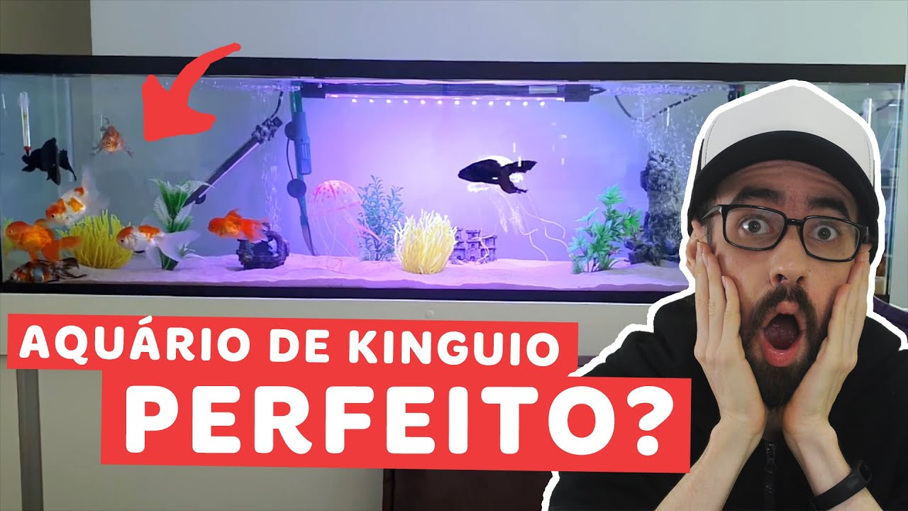 Reagimos ao AQUÁRIO DE KINGUIO do Bruno.