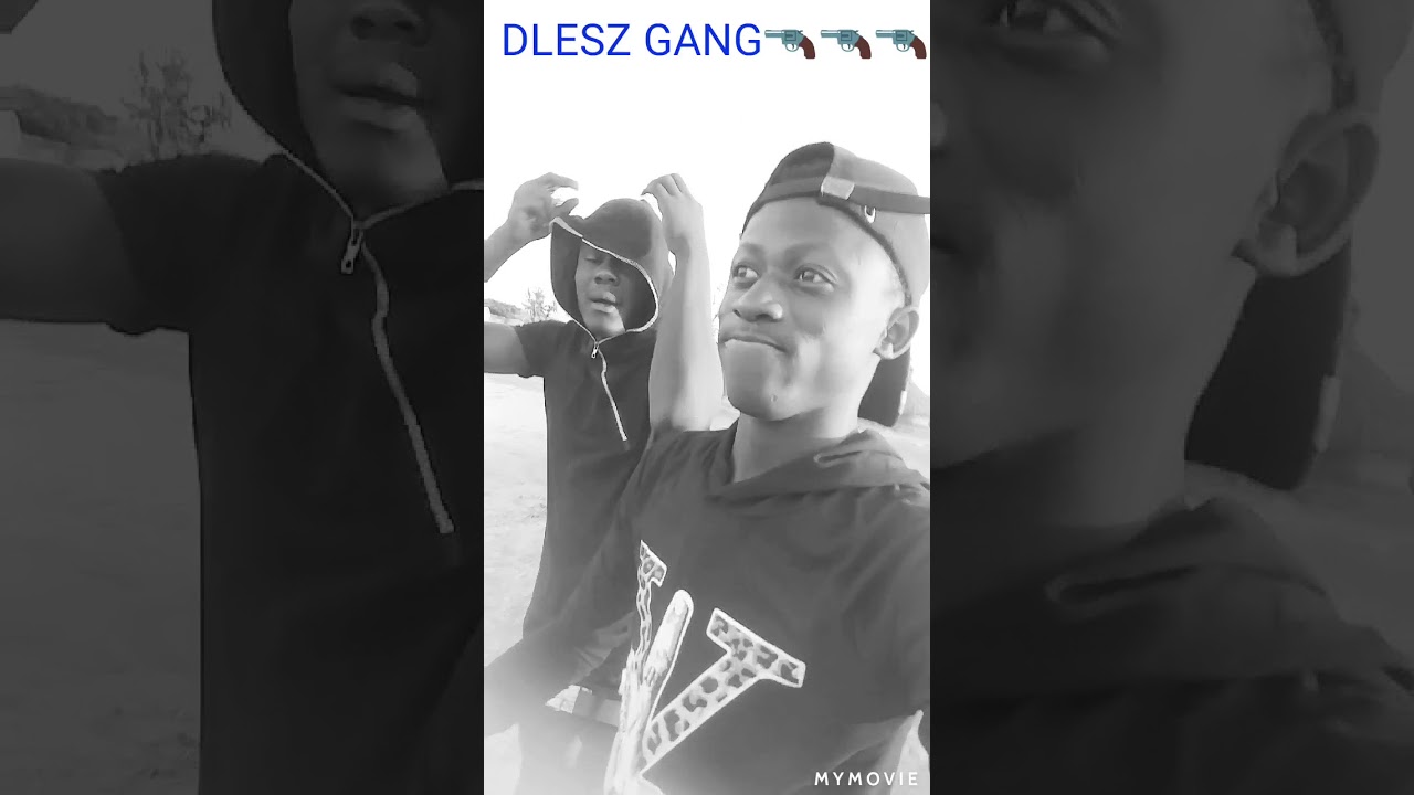 DLESZ GANG POUSSI