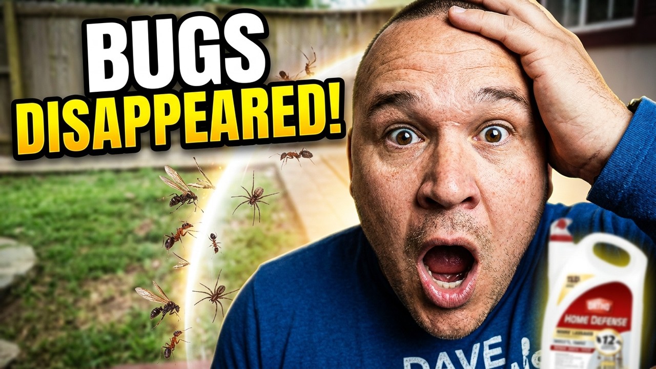 I Tried This Bug Killer and WOW You Won't Believe It!
