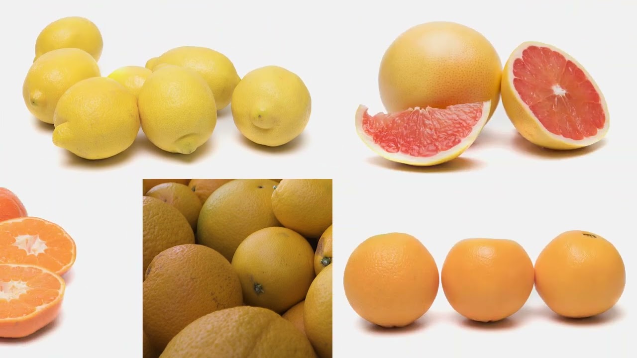 Citrus Packhouses 4: Receiving and Initial Processes