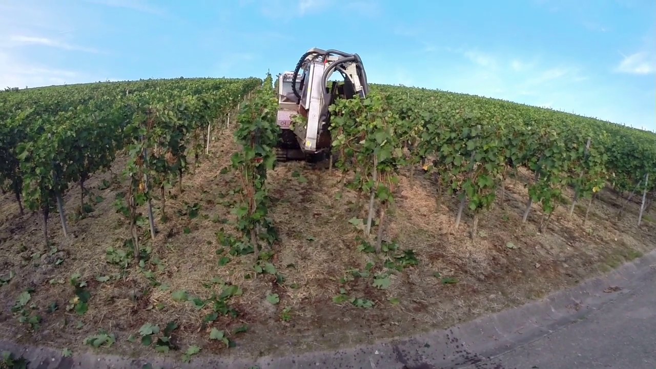 ANDREOLI ENGINEERING UT110 & HOFFMANN GRAPE HARVESTER