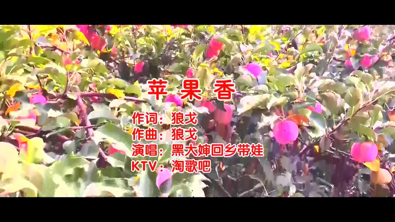 苹果香-黑大婶回乡带娃-伴奏 KARAOKE