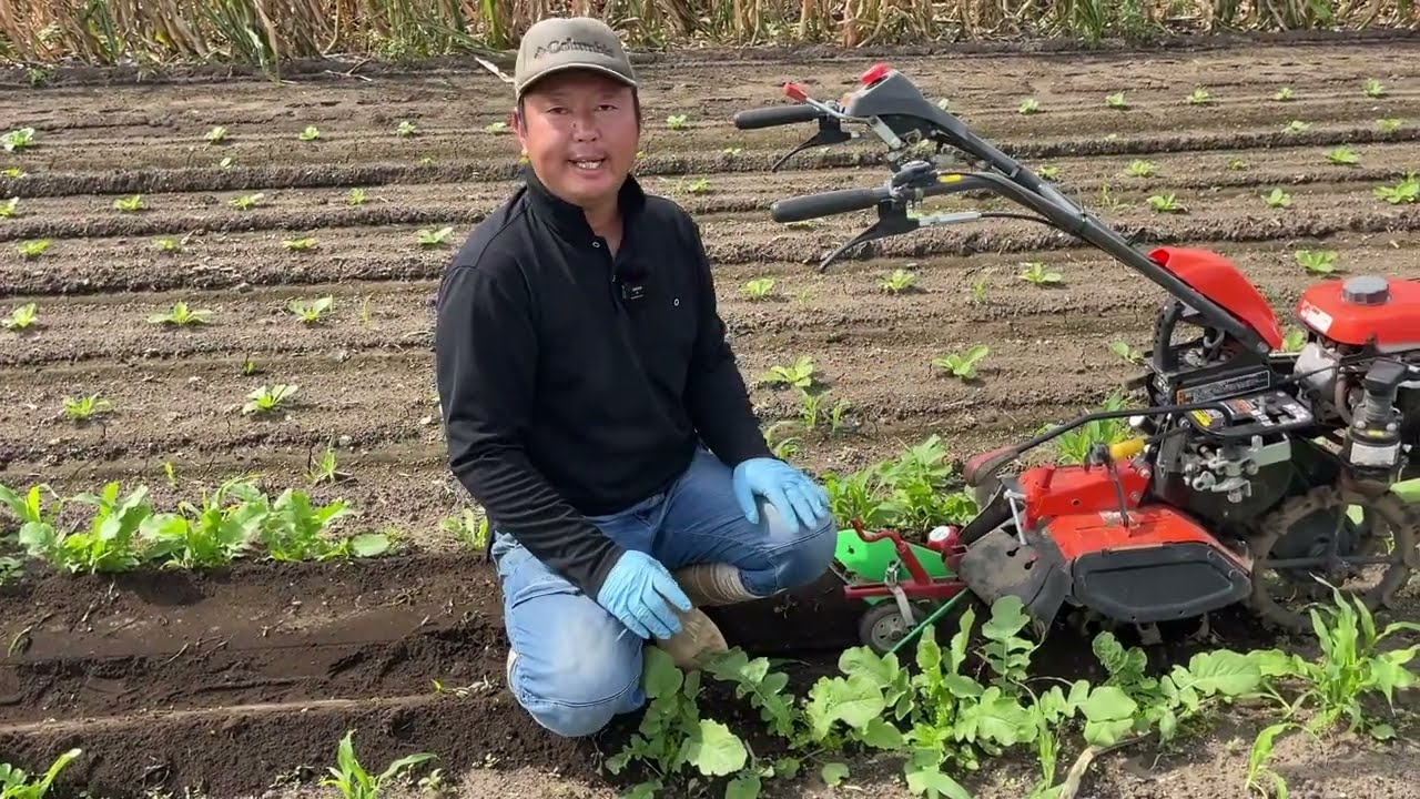 硬い土を小型管理機でフカフカな土にする面倒な草取りが楽!追肥土寄せも簡単!【大根栽培編】