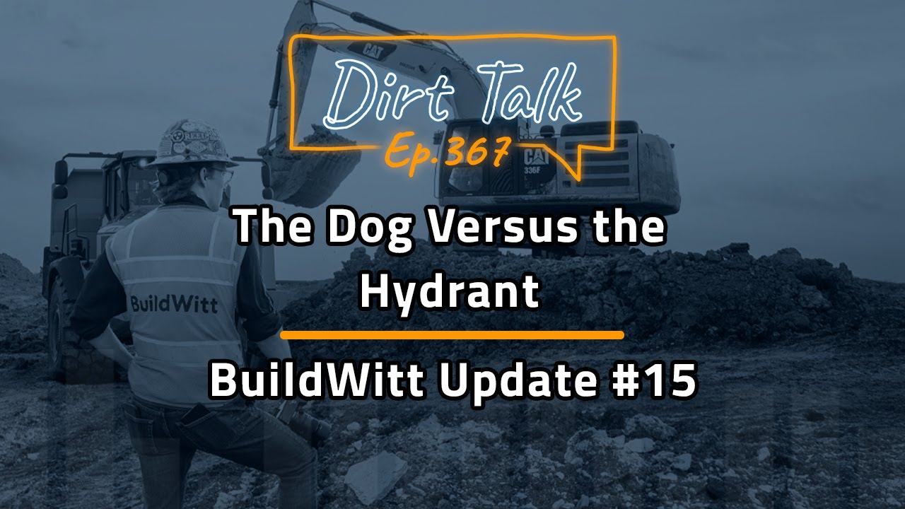 The Dog Versus the Hydrant (BuildWitt Update #15) – DT 367