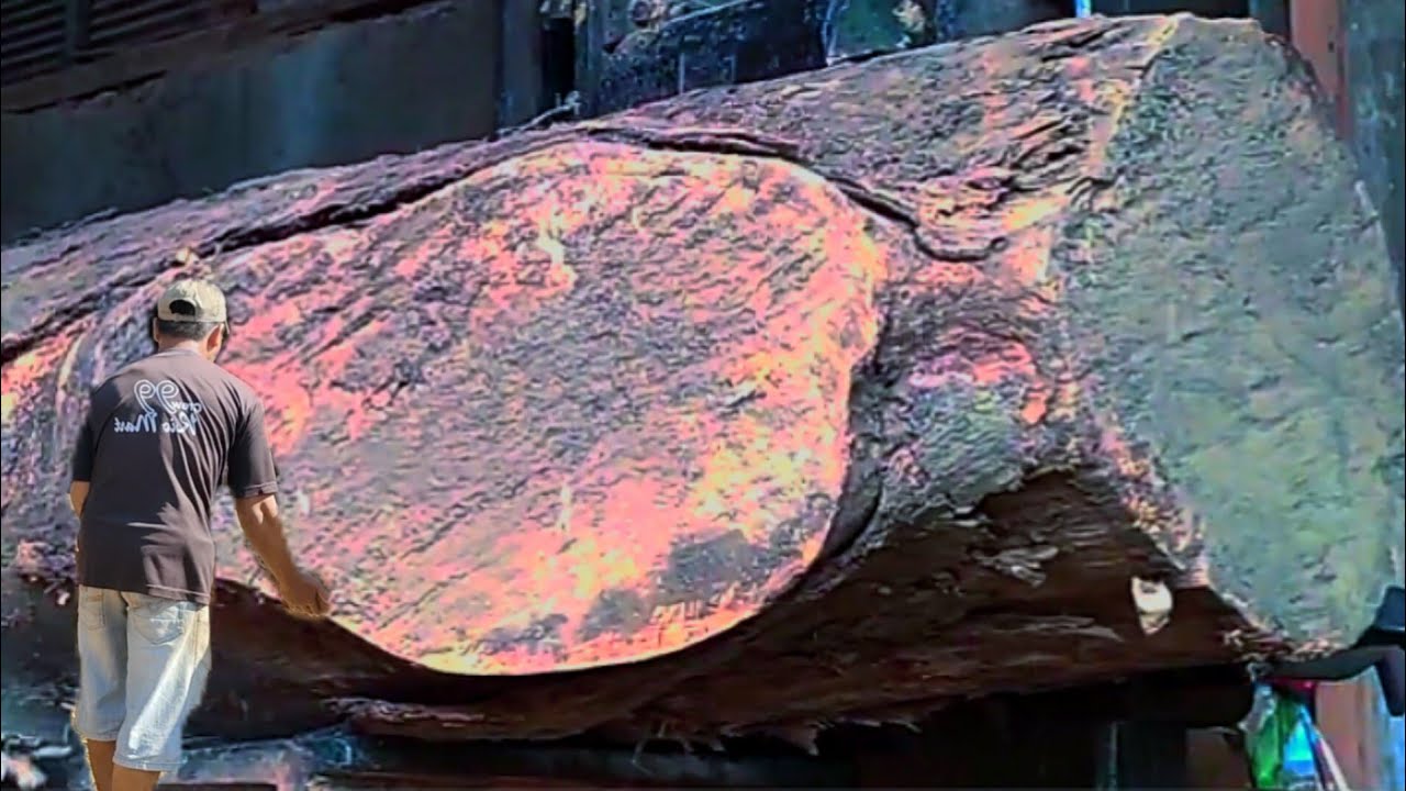 Amazing || Rare Wood with Marble Motifs || Hardwood