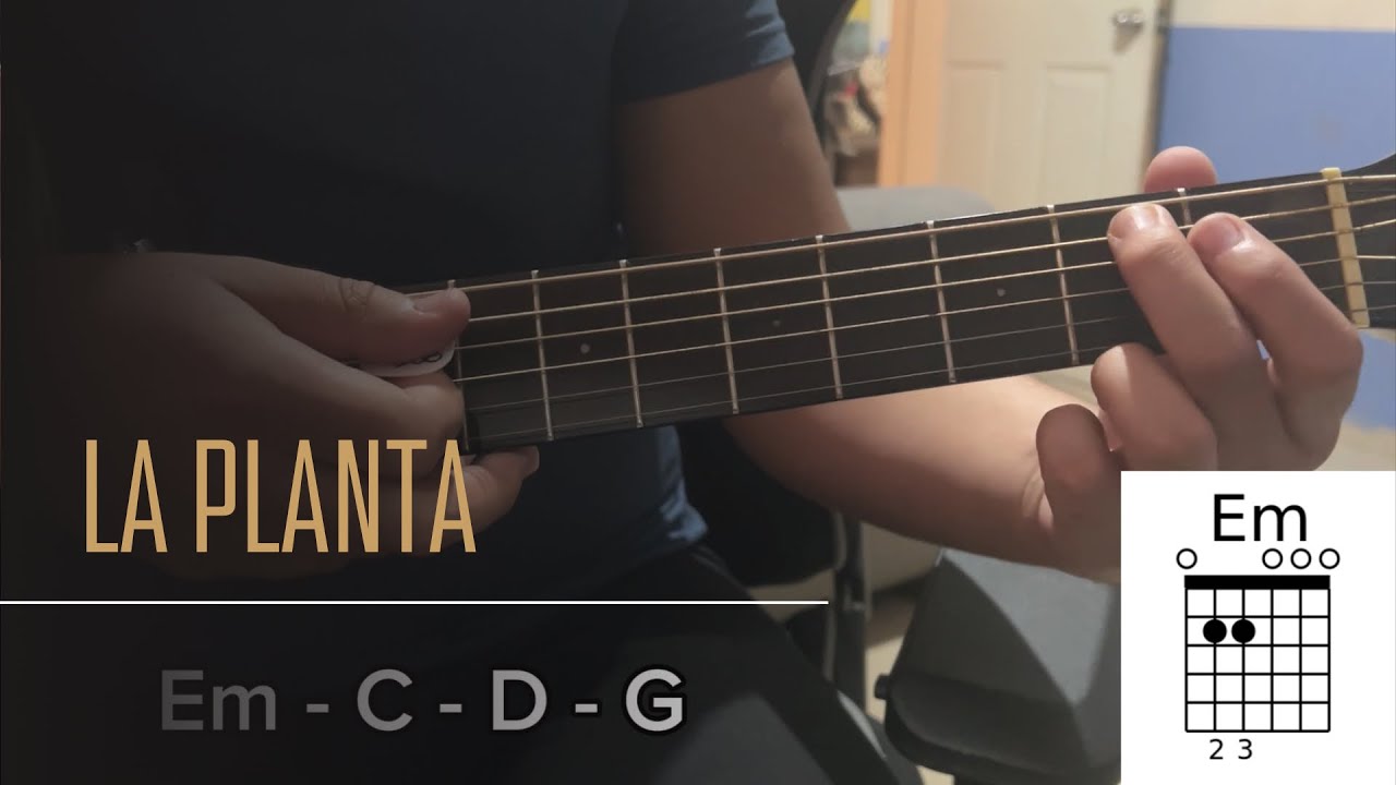 Cómo Tocar La Planta - Caos En Guitarra / Principiantes Letra Y Acordes