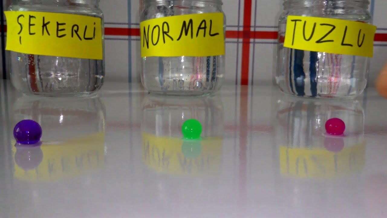 Su Maymunu Hangisinde Daha Çok Büyür ? - Tuzlu ve şekerli