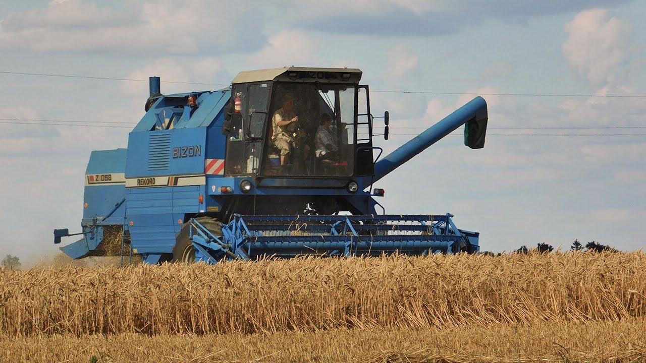 Żniwa 2018! - Bizon Rekord Z058/Zetor Forterra135