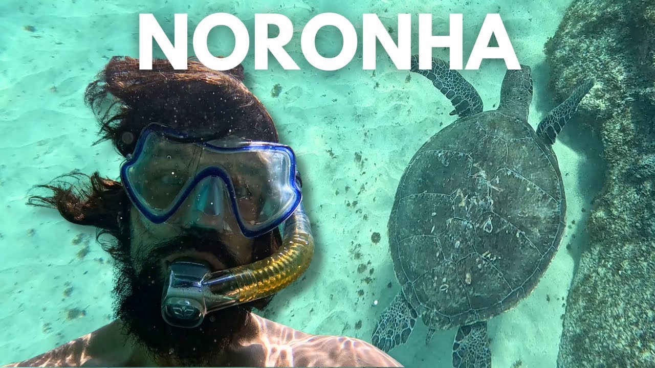 FERNANDO DE NORONHA: benvenuti in PARADISO! 🇧🇷 Giro del mondo - BRASILE