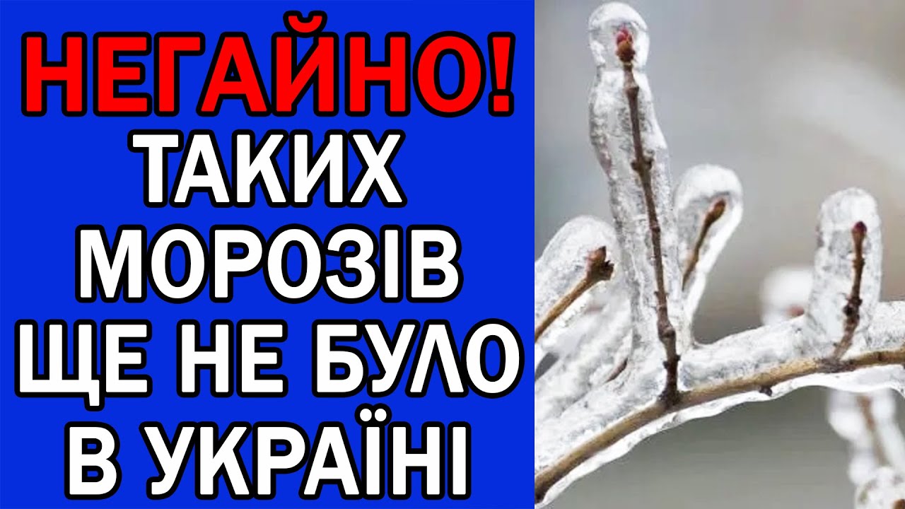СКІЛЬКИ ЩЕ ТРИВАТИМУТЬ МОРОЗИ В УКРАЇНІ : ПОГОДА НА ЗАВТРА