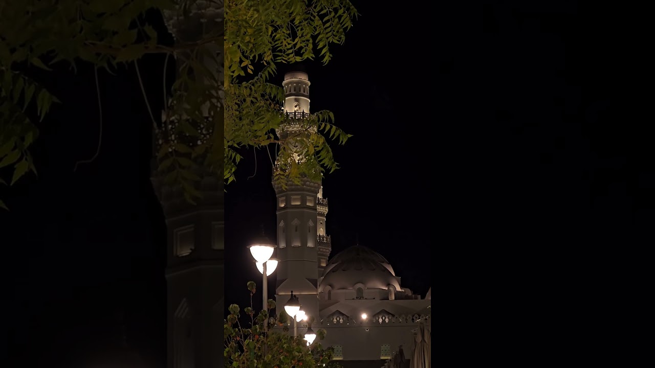 ٨ مارس ٢٠٢٦