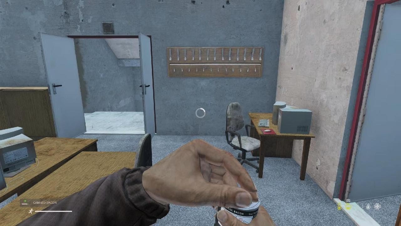 DayZ