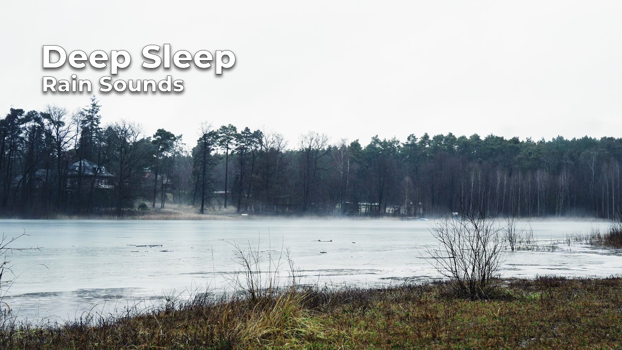 Can’t Sleep? Rain & Nature Sounds for Deep Relaxation 4K Stereo