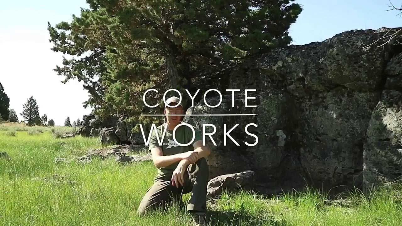 My Favorite Gun to Carry in the Woods