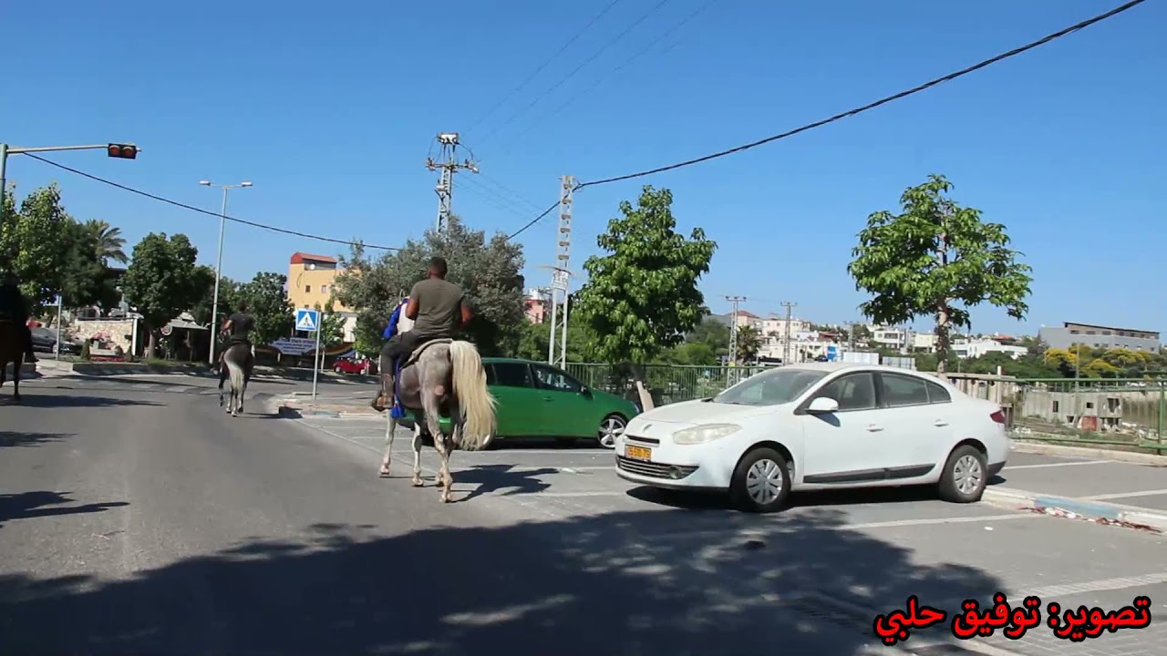 مسيرة خيالة دالية الكرمل بمناسبة عيد الاضحى كل عام وانتم بالف خير 17.7.2021