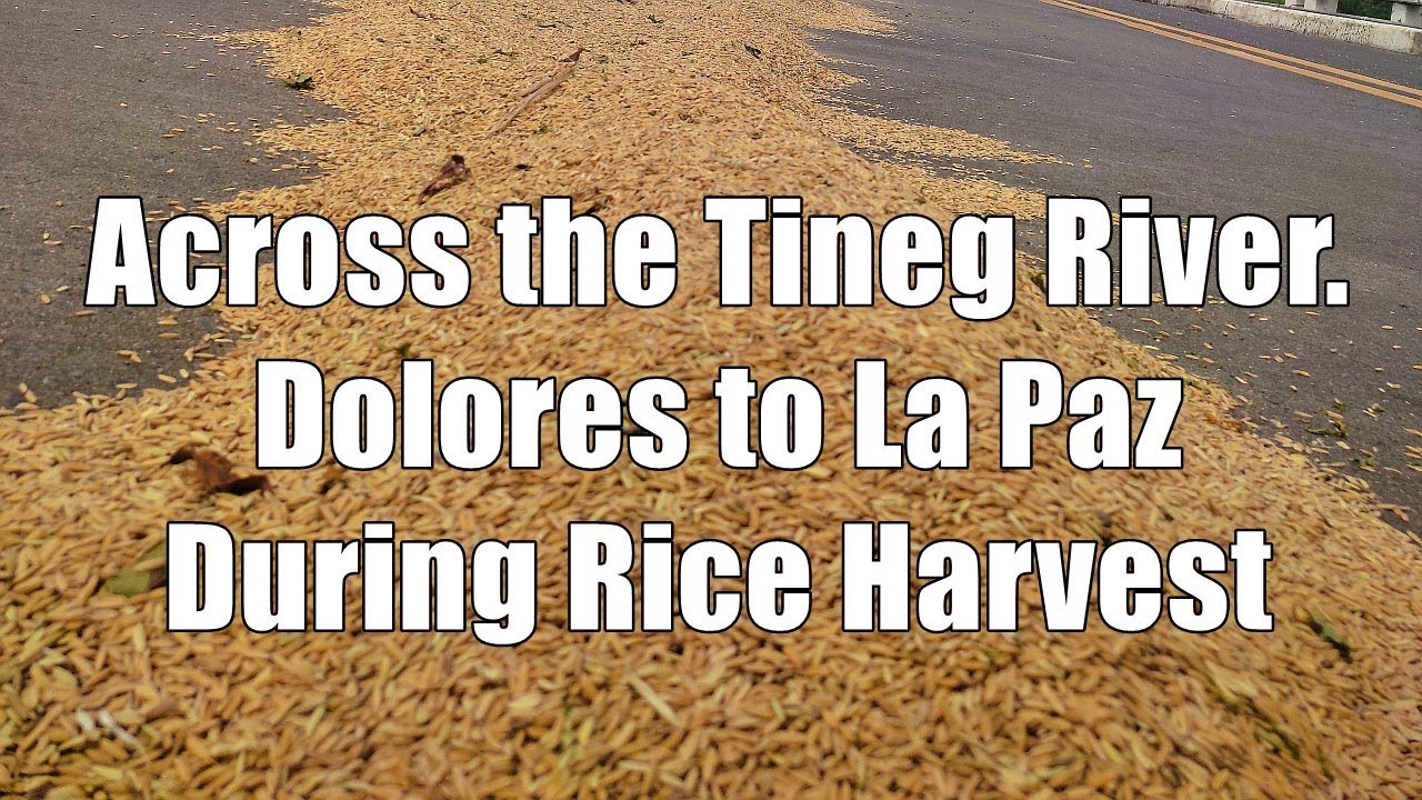 Crossing 3 Bridges from Dolores to La Paz, Abra during Rice Harvest