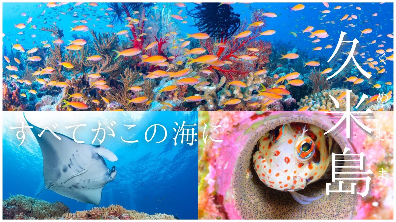 DIVE ESTIVANTが送る球美の海・久米島 ！全ての魅力がこの海に