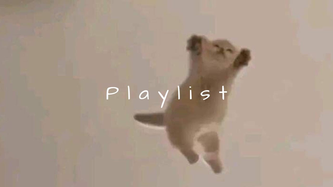 𝐏𝐥𝐚𝐲𝐥𝐢𝐬𝐭 릴스에서 