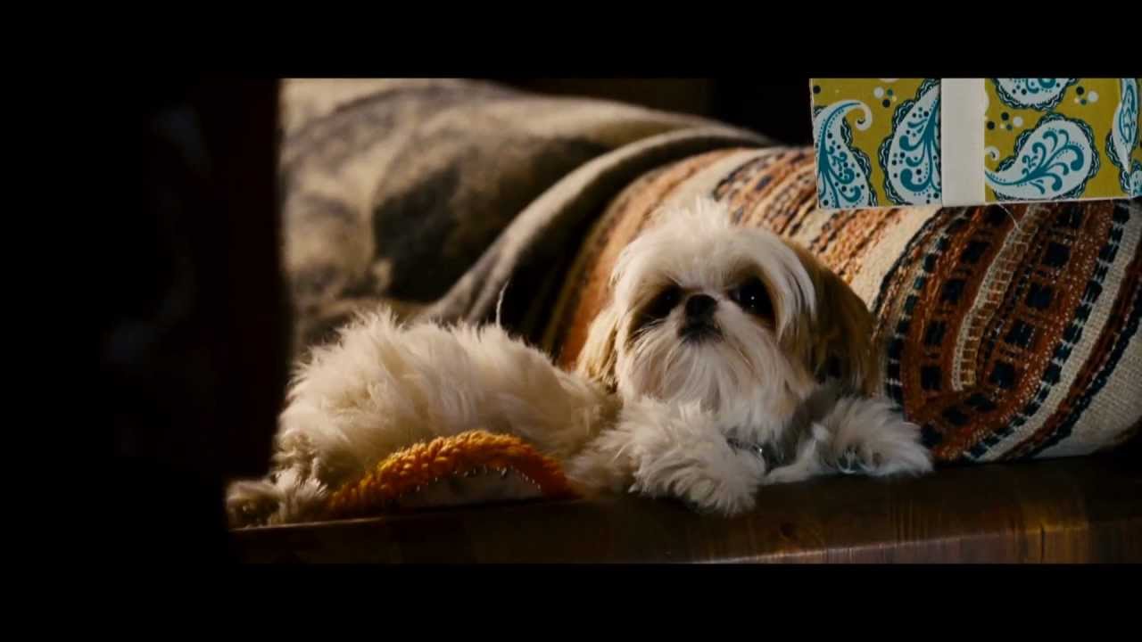 Seven Psychopaths Official Trailer - On Blu-ray&trade; & DVD!