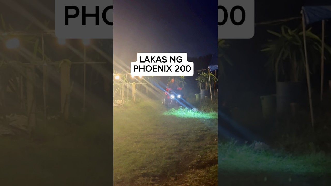 MEET Atv 200cc phoenix 