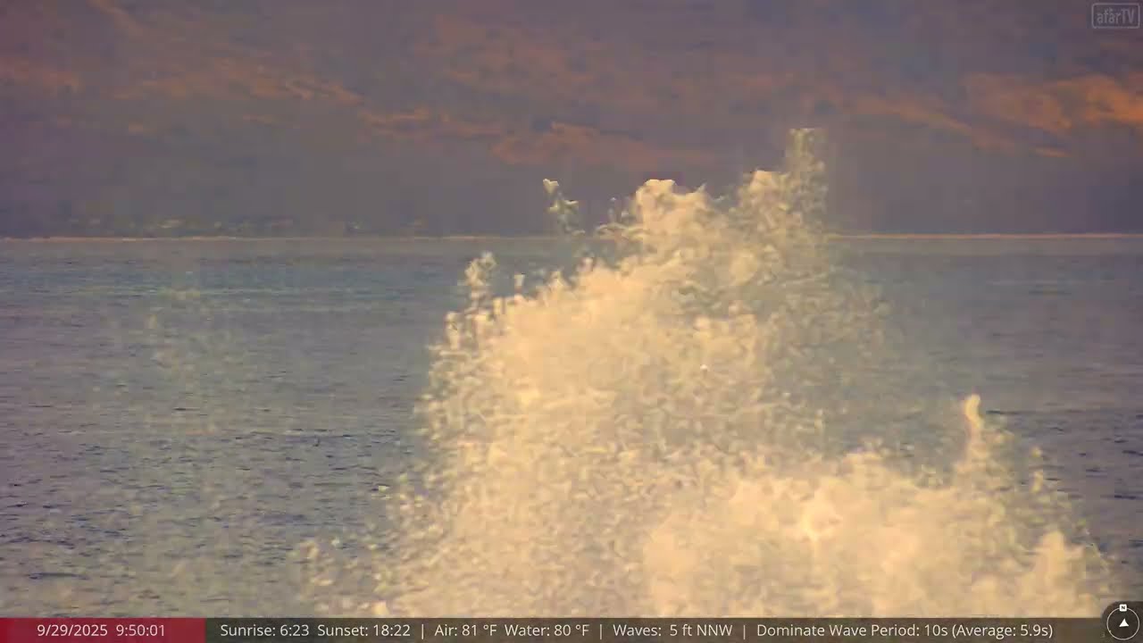 Sep 29, 2025: Dolphins Spotted on North Shore of Oahu, Hawaii