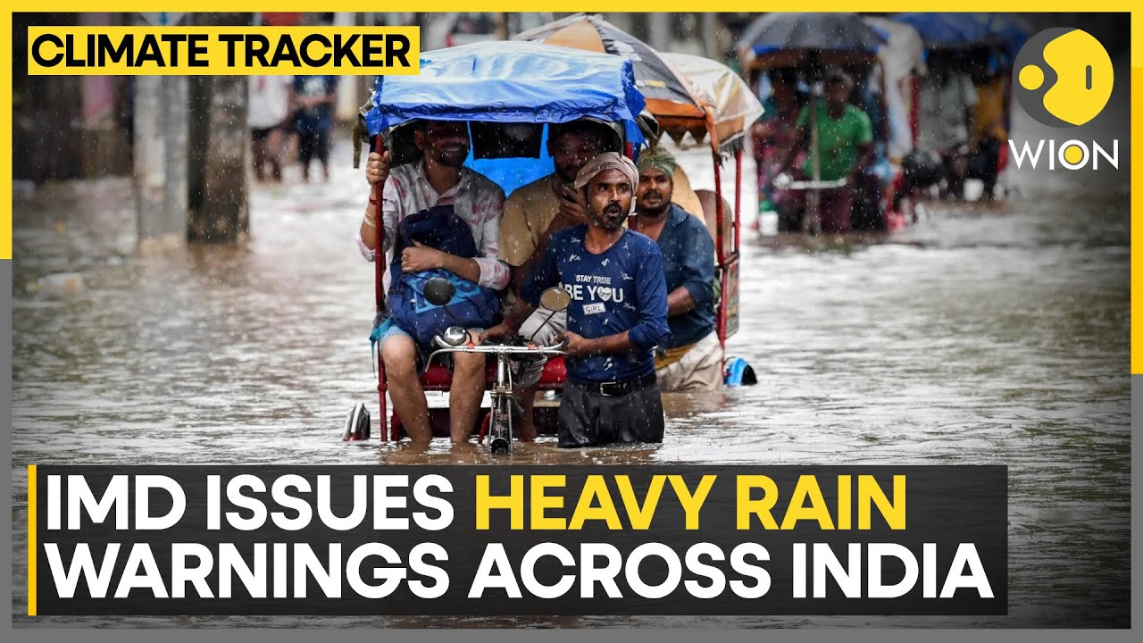 Monsoon Mayhem In India: South India To See Moderate Rain Till June 5 | WION Climate Tracker