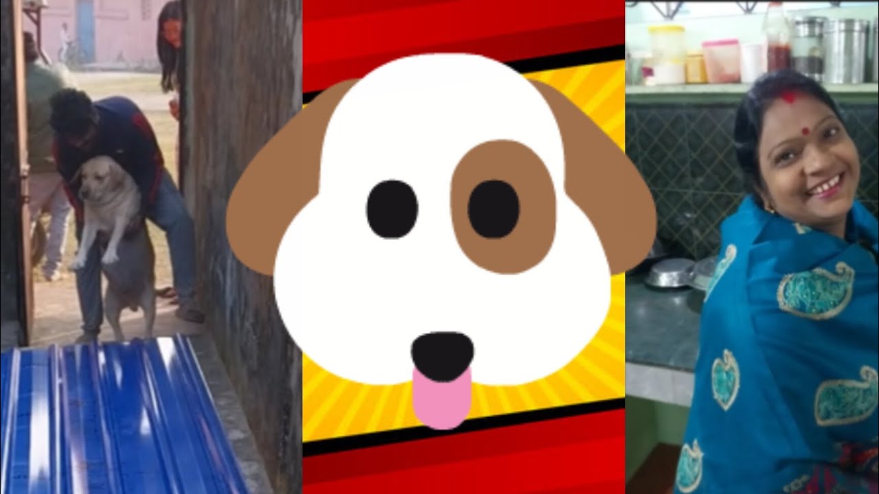 #_3.. JOGO Daar gyaaaaaa😆 dekho kya hua... Daily Vlog.......