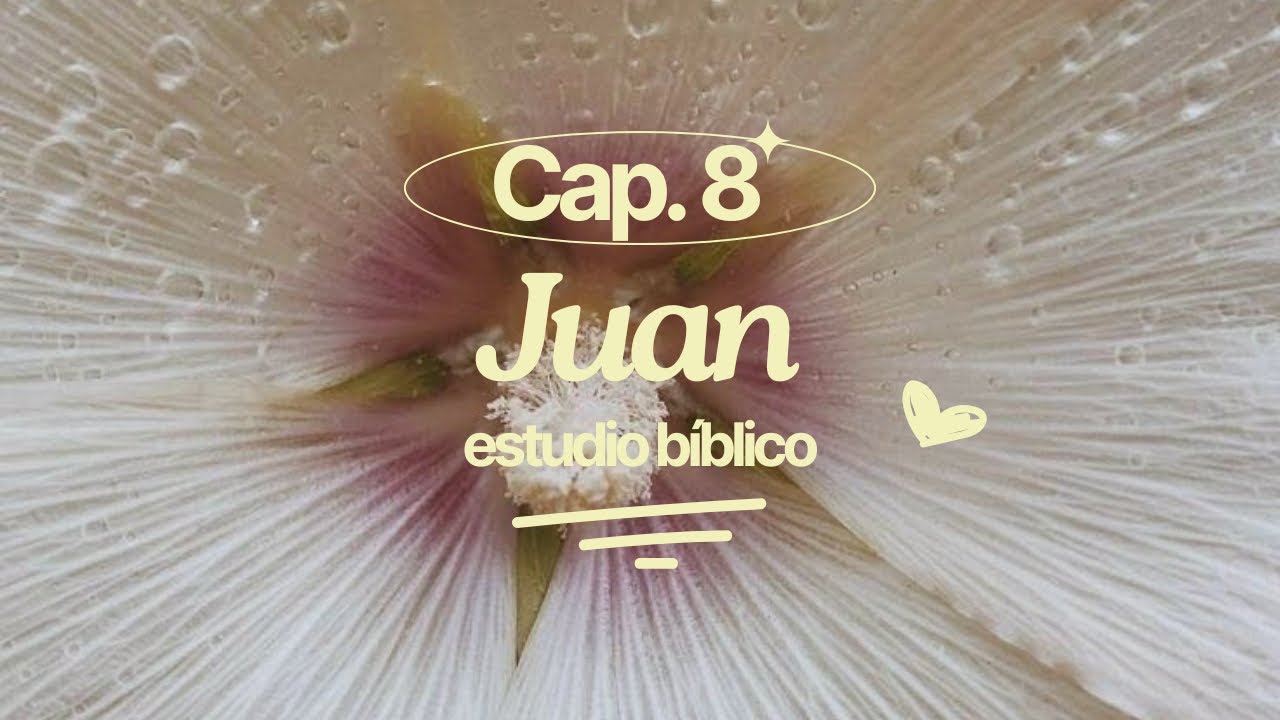 Juan Cap&iacute;tulo 8 - Estudio B&iacute;blico