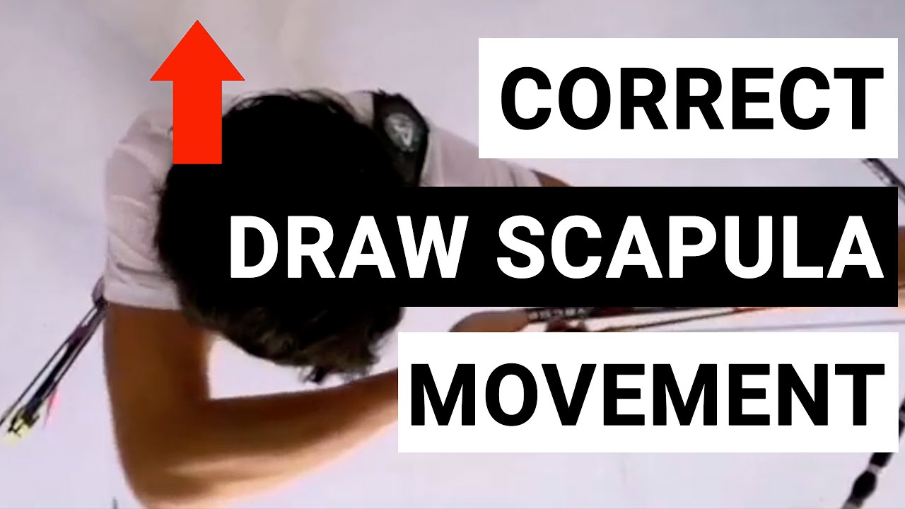 Archery Coaching - Correct Draw Scapula Movement
