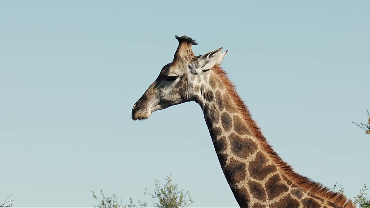 Kruger National Park 2024 - Day One and Two