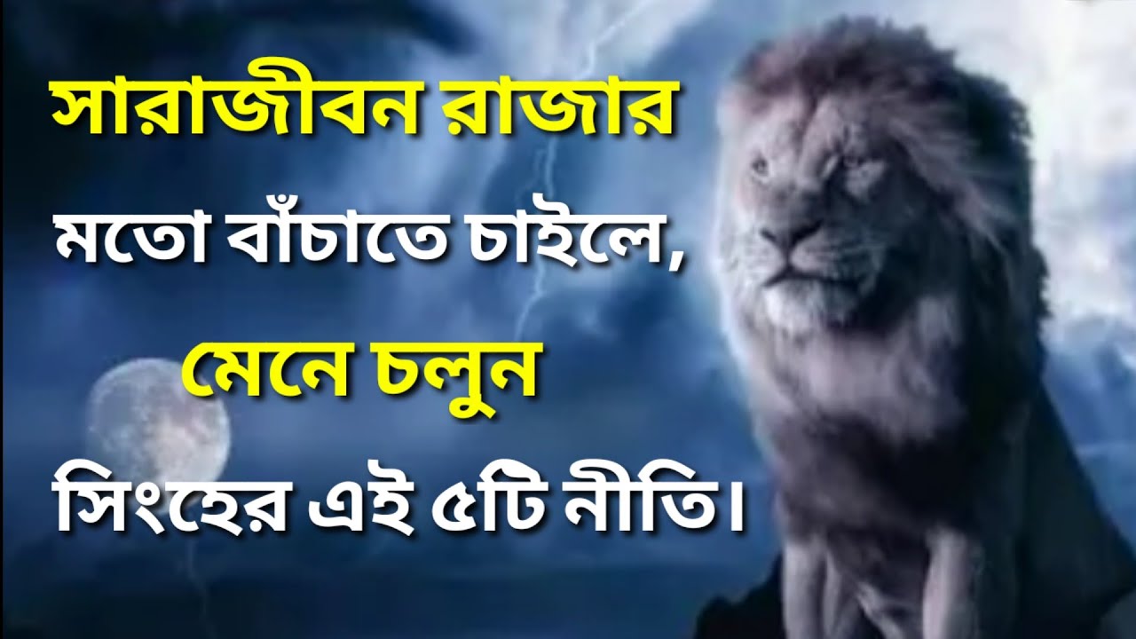 জীবনে মেনে চলুন সিংহের এই ৫টি নীতি, আর রাজার মতো জীবন উপভোগ করুন ||