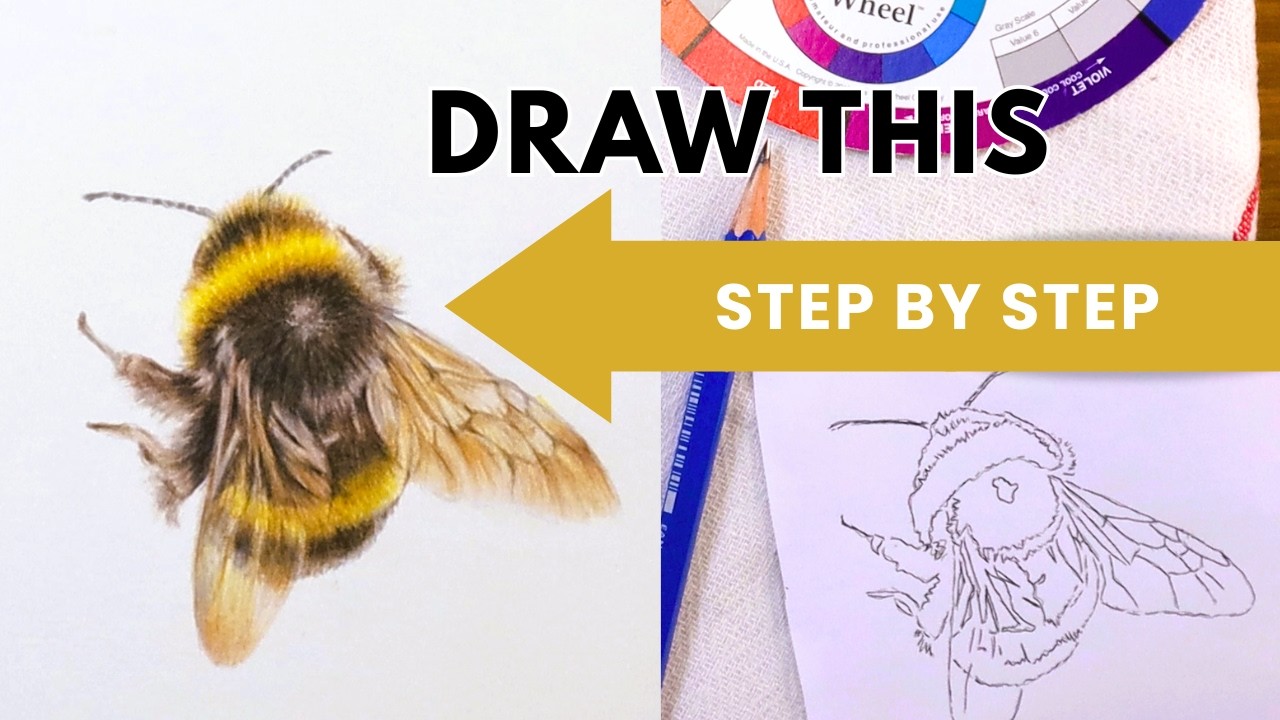 How to Draw a Realistic Bumble Bee | Step-by-Step Colour Pencil Tutorial for Beginners