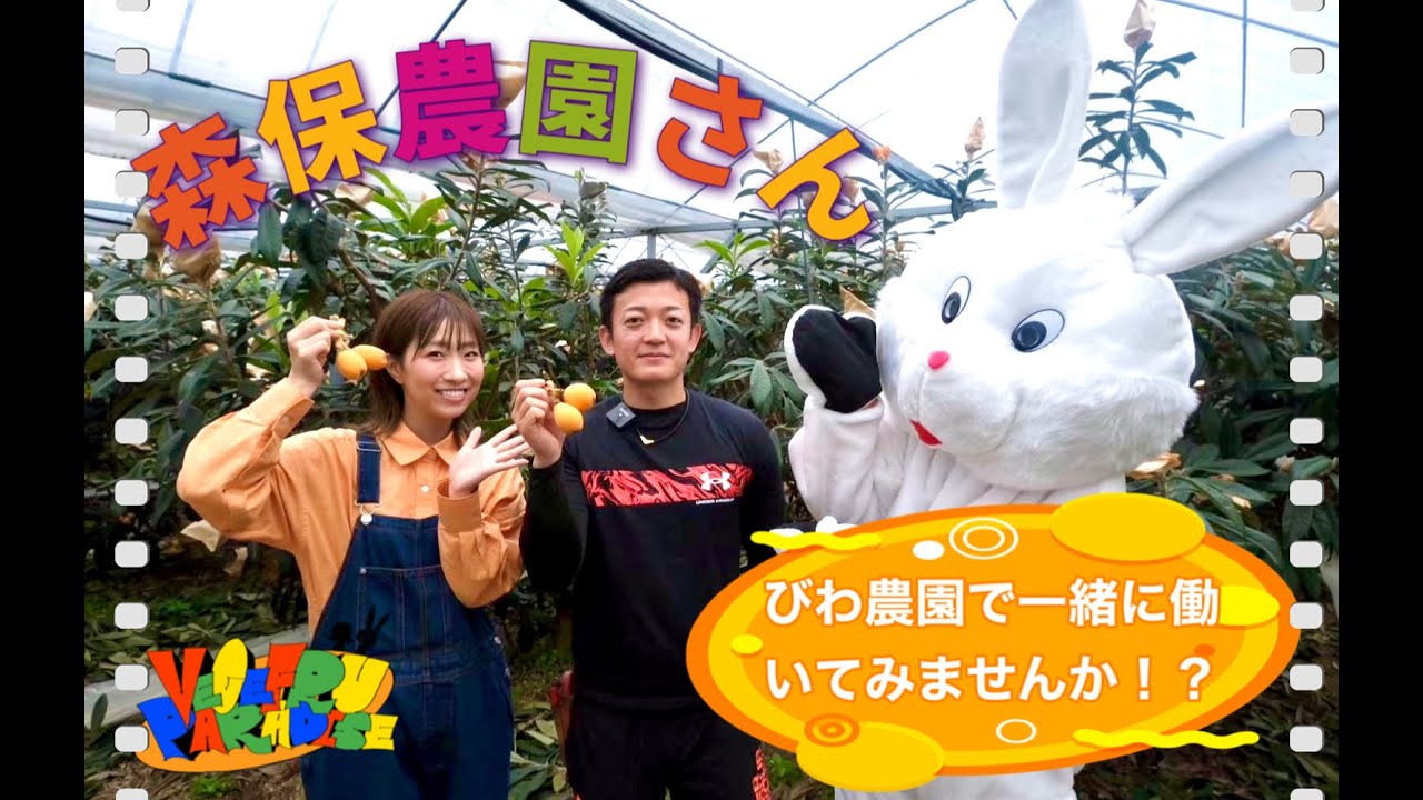 【びわ】【栽培】美味しい長崎びわができるまで　森保農園さんにインタビュー！