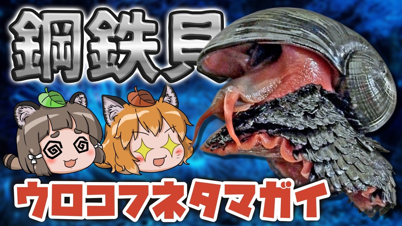 【最硬】鋼鉄の巻貝！ウロコフネタマガイのヤバさ【スケーリーフット】