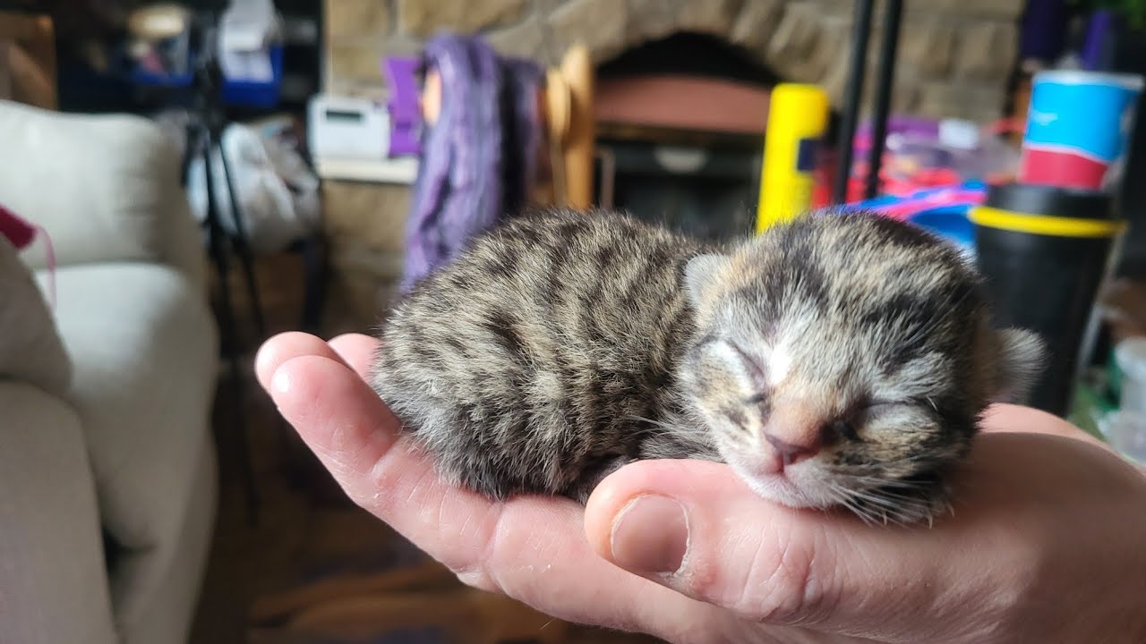 CUTENESS OVERLOAD 😍 😍 😍 